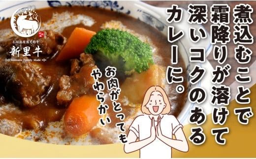 石垣島産 黒毛和牛 新里牛 多用途抜群！煮込み用贅沢角切り（500g×1） 500g カレー シチュー SZ-45