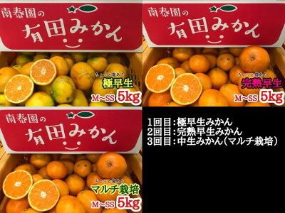 【定期便】(2026年10月発送スタート)【ちょっと傷あり 約5kg×3回コース】有田みかん・食べくらべ3種【南泰園】※着日指定不可_ZF6303n