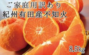 【ご家庭用訳あり】 紀州 有田産 不知火 (しらぬひ) 8.5kg 【予約】 / 果物 フルーツ くだもの 和歌山 ※2027年2月中旬頃〜3月中旬頃に順次発送予定(お届け日指定不可) ※離島への配送不可 【uot507A】