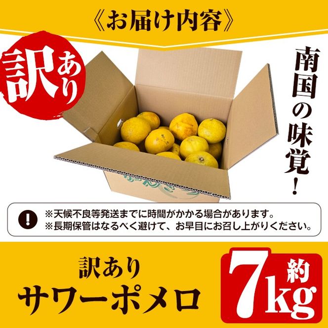 ＜先行予約受付中！2026年2月下旬以降発送予定＞＜訳あり・傷あり＞数量限定！サワーポメロ(約7kg) 国産 フルーツ 果物 柑橘類 サワーポメロ 甘味 酸味 デザート おやつ 訳あり【なかむら果樹園】akn014-01