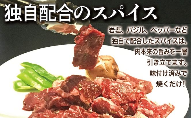y{򍲖szG3407 yn~zIWiXpCXd v2.5kg yt n~  Ă ȒP BBQ  250g×10Pz