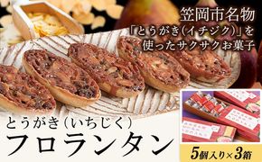 かさおか産 とうがきフロランタン 3箱 藤屋菓子舗 《45日以内に出荷予定(土日祝除く)》お菓子 焼き菓子 フロランタン スイーツ お土産 手作り おすすめ デザート おやつ いちじく アーモンド キャラメル ギフト 贈答 岡山県 笠岡市---A-126a---