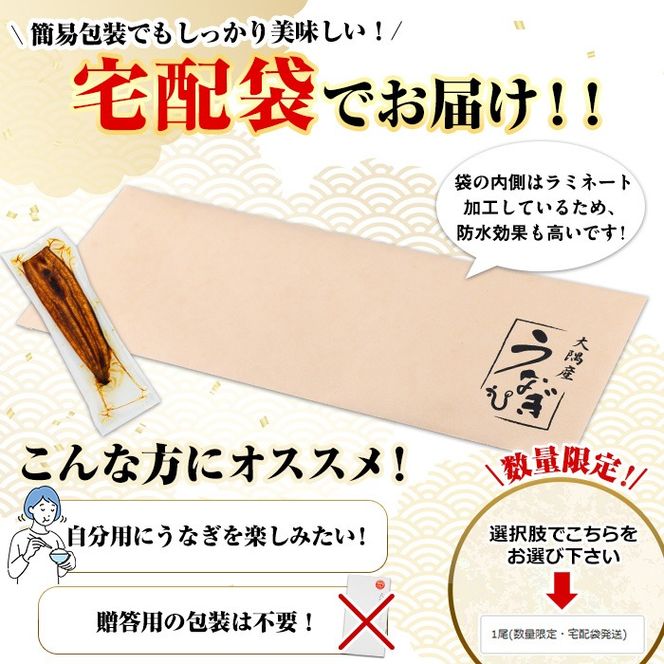 y̑Sǒzy0074325azʌEzܔǒ̂Ȃ()(1E150gE^ARt) Ȃ  EiM V Y  Ă   ӂ邳  yANA݁z