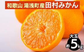 【先行予約】 田村みかん 約5kg 【大玉】 和歌山県 湯浅町 田村地区産