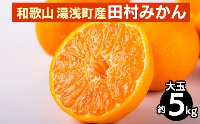 【先行予約】 田村みかん 約5kg 【大玉】 和歌山県 湯浅町 田村地区産