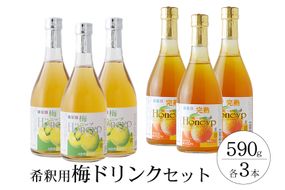 希釈用梅ドリンク 梅ハニップ 完熟梅ハニップ 各3本セット【prm022B】