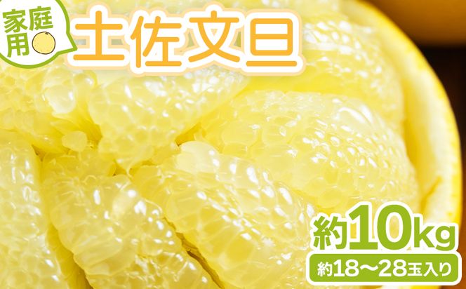 文旦 土佐文旦 家庭用 10kg 大小混合(L～3L) 約18～28玉入り yk-0070