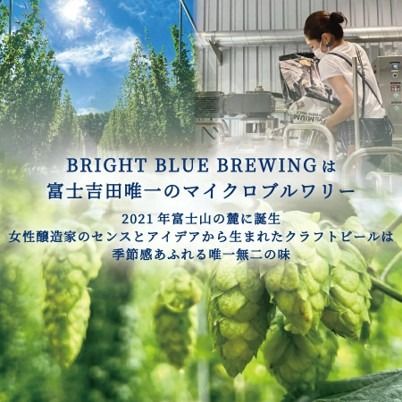 BRIGHT BLUE BREWING ブルーラベル 330ml×6本 セット 【 選べる種類 NEW England IPA / Black IPA 】 ビール クラフトビール セット マイクロブルワリー 飲み比べ 山梨 富士吉田