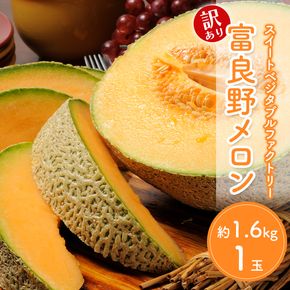 【2026年夏発送】※訳あり 富良野産 メロン 2Lサイズ 約1.6kg【1玉】フルーツ 果物
