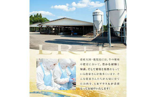 【小分け】＜A5等級＞鹿児島県産黒毛和牛 すき焼きしゃぶしゃぶセット(霜降りスライス・赤身スライス各200g×3P/計1.2kg) b6-022