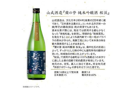 【びんご圏域連携】備後の日本酒 純米吟醸酒 飲み比べセット 株式会社齋藤商店《30日以内に出荷予定(土日祝除く)》酒 日本酒 さけ お酒---S-18---
