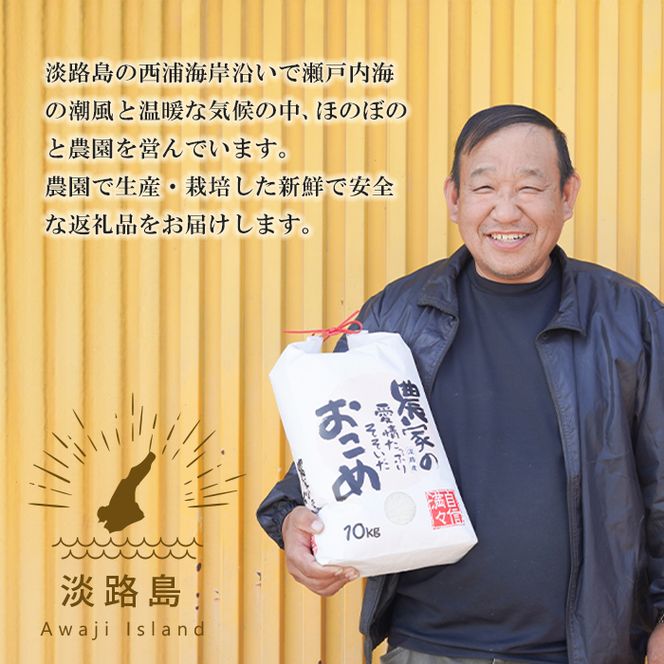 【定期便12ヶ月】名手農園の淡路島産コシヒカリ 10kg　コシヒカリ