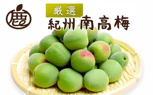 ＜6月発送＞厳選 紀州南高梅(青梅)3kg+250g（傷み補償分）【朝摘み・とれたて直送便】【梅干し・梅酒・梅ジュース】【和歌山産】
