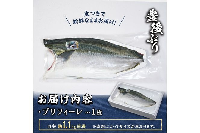 豊後ぶりフィーレ (計約1.1kg) 鰤 真空パック 刺身 さしみ 刺し身 照り焼き ブリしゃぶ しゃぶしゃぶ 大分県 佐伯市【GD002】【東海シープロ (株)】