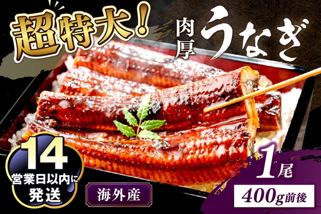 超特大!ふっくら肉厚!うなぎ蒲焼 1尾 400g前後