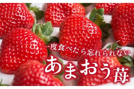 【先行予約】糸島産 あまおう ギフト 箱 ( 24-30粒 ) 【2024年12月上旬以降順次発送】 《糸島》【南国フルーツ株式会社】