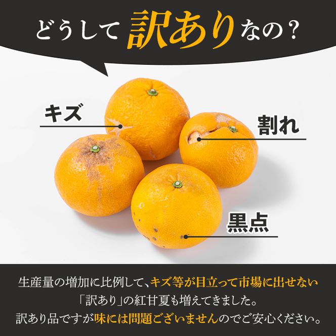 訳あり！鹿児島県産まかない紅甘夏(約20kg) 国産 鹿児島産 柑橘 訳アリ 果物 フルーツ 旬 常温保存 紅甘夏 ベニアマナツ 数量限定 期間限定 規格外 デザート 阿久根市産【三笠農業生産】akn051-05