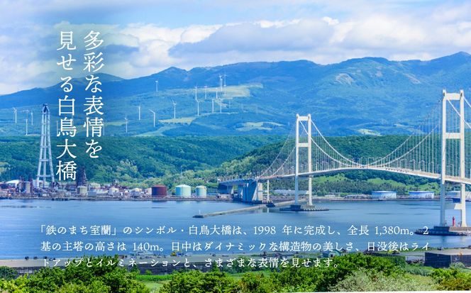 白鳥大橋主塔登頂クルーズ 標準コースチケット 大人1名様 MROX007