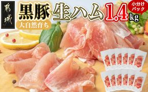 黒豚生ハム1.4kg_MJ-2519_(都城市) 宮崎県産 黒豚 豚肉 豚生ハム 120g×12パック 生ハム 小分け パック 都城産 黒豚 豚肉 加工品 食品 つまみ 酒のお供 酒の肴
