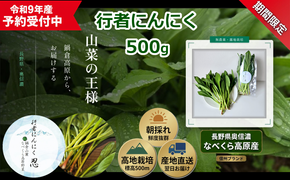 【令和9年産先行予約】行者にんにく 忍 500ｇ入り　1箱(70枚～75枚)《出荷時期：2027年5月中旬頃〜》株式会社ForestDoor (Ce-012)