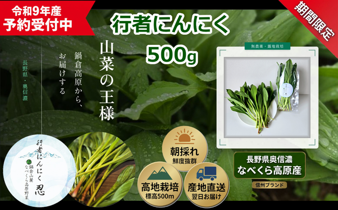 【令和9年産先行予約】行者にんにく 忍 500ｇ入り　1箱(70枚～75枚)《出荷時期：2027年5月中旬頃〜》株式会社ForestDoor (Ce-012)