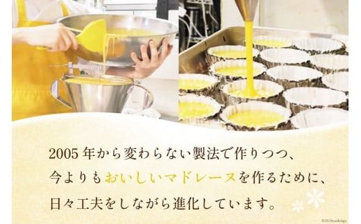 【TVで紹介！】 菓子 お山のマドレーヌ 12個入り [オーイング・K 宮城県 南三陸町 m304amh790005] お菓子 マドレーヌ 洋菓子 焼き菓子 おかし おやつ スイーツ デザート 焼菓子 手土産 個包装