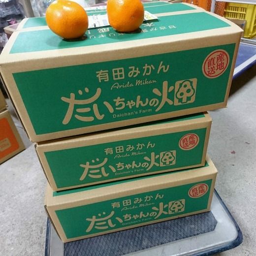 ［先行予約］［ご家庭用］有田みかん  5kg （S～2Lサイズミックス）木成り完熟 大ちゃんの畑農園 CA12