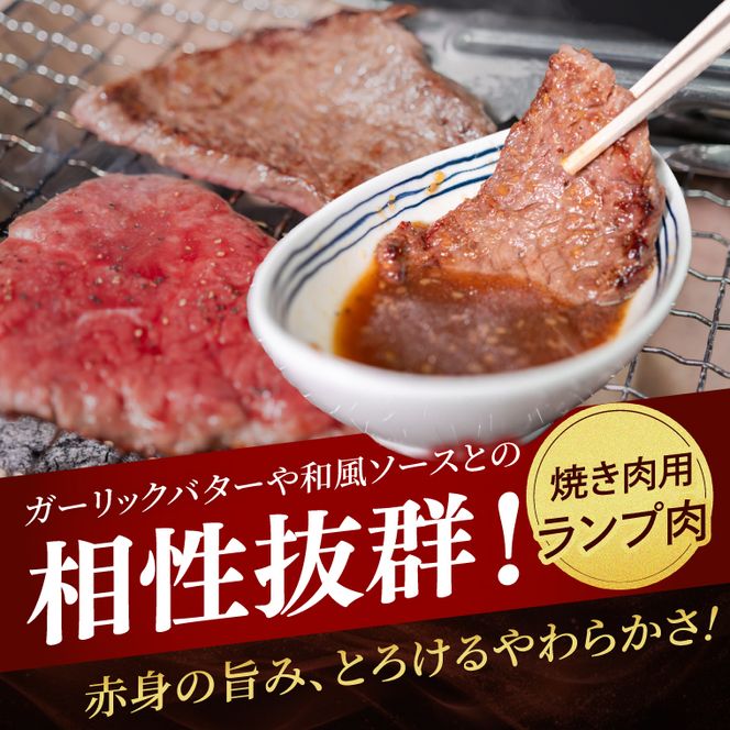 常陸牛ランプ肉 焼き肉用 500g|黒毛和牛 国産牛 赤身肉 希少部位 牛肉 人気 茨城県 取手市（AV002）