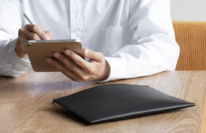 G2816 iPad収納ケース レイヤーポーチ2 mini