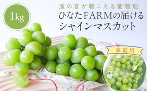 1039.【家庭用】波の音が聴こえる葡萄畑　ひなたFARM シャインマスカット 313726_CD002