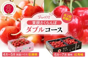 【2026年産 先行予約】東根さくらんぼ　ダブルコースpart2（佐藤錦加温500g、紅秀峰800g） 山形県 東根市 hi001-045