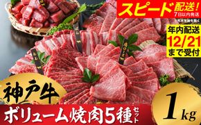 神戸牛 ボリューム焼肉セット 肩ロース 肩 モモ バラ 赤身角切り 1kg / 焼肉 食べ比べ 牛肉 小分け (200g×5種) 密着包装 赤身 霜降り国産牛 焼肉セット 焼き肉 冷凍 国産牛 ブランド牛 黒毛和牛 神戸ビーフ 化粧箱入り ギフト【帝神志方ミート】【12/21までの受注分年内発送】
