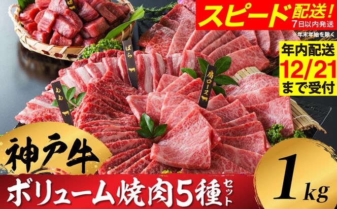 神戸牛 ボリューム焼肉セット 肩ロース 肩 モモ バラ 赤身角切り 1kg / 焼肉 食べ比べ 牛肉 小分け (200g×5種) 密着包装 赤身 霜降り国産牛 焼肉セット 焼き肉 冷凍 国産牛 ブランド牛 黒毛和牛 神戸ビーフ 化粧箱入り ギフト【帝神志方ミート】【12/21までの受注分年内発送】