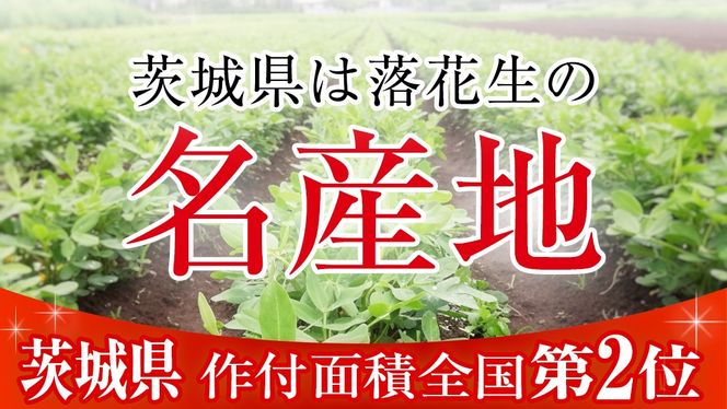 から付き落花生 500g （250g×2袋） 煎りざや落花生 おつまみ おやつ ピーナッツ 殻付き ナカテユタカ