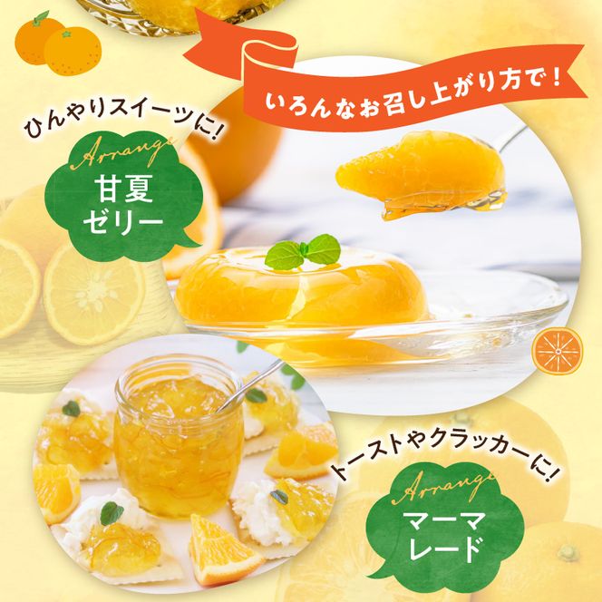 G7362_【2027年先行予約】【ご家庭用】【訳あり】紀州有田産　すっきり爽やか　甘夏みかん　８kg