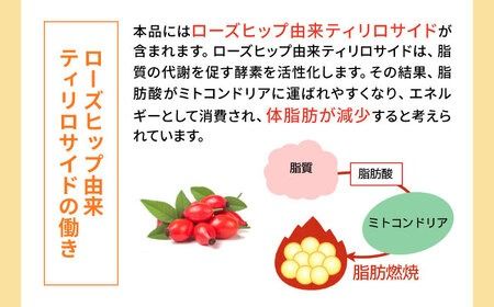 【マスカット】たらみ Tarami 体脂肪を減らす 蒟蒻ゼリー 0kcal ( 杏仁豆腐 / マスカット ) 1箱6個入り 糸島市 / たらみ [ALN001-1]