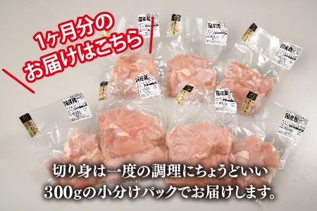 【3カ月定期便】ありたどり 胸肉 3.1kg×3回 計9.3kg【むね肉 低脂肪 ダイエット 筋トレ 人気 たんぱく質 ブロック 低温調理 サラダチキン 切り身 小分け 佐賀 ブランド鶏 安心 小包装】(H123113)