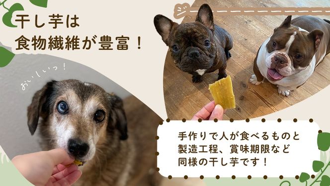 犬のおやつ 国産 干し芋 無選別 訳あり 400g (100g × 4袋) 送料無料 保存料不使用 ドックフード 国産手作り さつまいも 人気 個包装 栄養 効能 犬 わんちゃん 少量 小分け [EA18-NT]