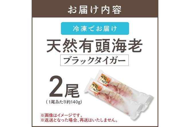 【A5-318】特大 天然海老(有頭･2尾)