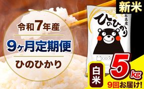 新米 令和7年産 ひのひかり 【9ヶ月定期便】 白米 5kg (5kg×1袋) 計9回お届け 《お申込み翌月から出荷》 熊本県産 精米 ひの 米 こめ お米 熊本県 長洲町---hn7tei_112500_5kg_mo9_ng_h---