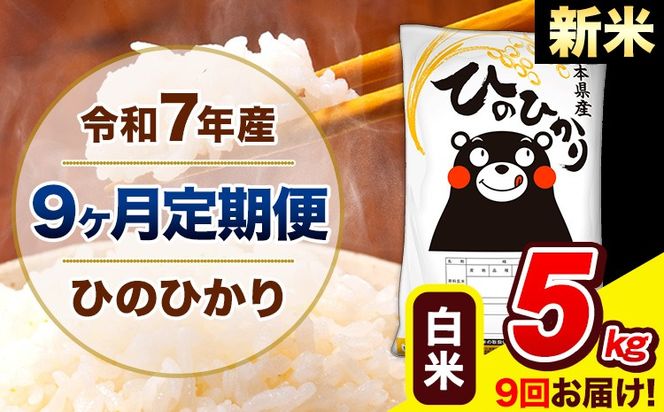 新米 令和7年産 ひのひかり 【9ヶ月定期便】 白米 5kg (5kg×1袋) 計9回お届け 《お申込み翌月から出荷》 熊本県産 精米 ひの 米 こめ お米 熊本県 長洲町---hn7tei_112500_5kg_mo9_ng_h---