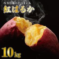 【訳あり】 紅はるか 約10kg 【2026年9月より順次発送】｜紅はるか 無選別 先行予約 行方台地 さつまいも 茨城県(CU-55-4)
