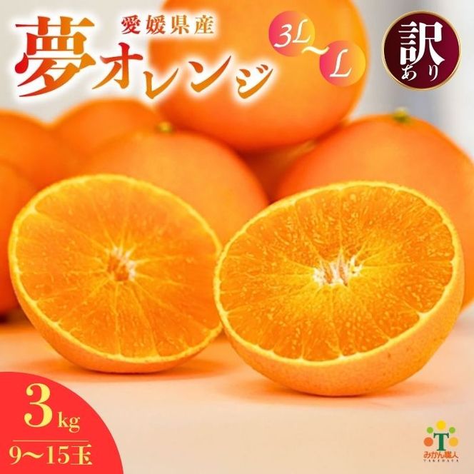 【先行予約】訳あり みかん職人の夢おれんじ 3kg 柑橘 果物 フルーツ 愛媛 みかん職人武田屋 オレンジ 蜜柑 愛果28号 愛媛果試第28号 まどんな 大小ミックスサイズ 甘い 甘さ みかん かんきつ 柑橘 冬 旬 食べごろ 農家 農家直送 農園 人気 みかん職人 武田屋 産直 みかん職人武田屋 愛媛県 愛南町