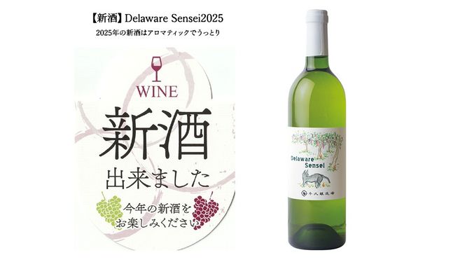 デラウェアセンセイ Delaware Sensei 2025 750ml×1本 茨城県産 牛久醸造場 日本ワイン ワイン 白ワイン 750ml ミディアムボディ お酒 贈り物 葡萄 ぶどう [BJ060us]