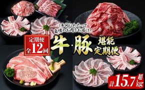 【定期便全12回】牛・豚堪能定期便(12ヶ月連続・計15.7kg超) t0194-011