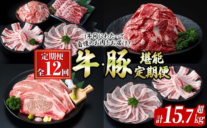 yuzuszy֑S12zE؊\(12AEv15.7kg) t0194-002