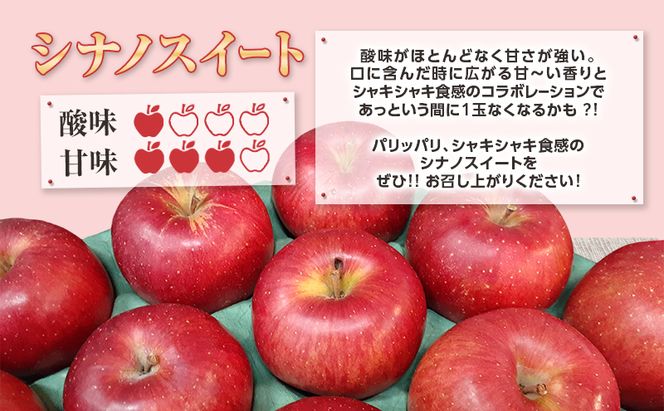 【5月発送クール便】 白熊 訳アリ家庭用シナノスイート 約5kg スマートフレッシュ 糖度13度【青森りんご 果物 フルーツ 果物類 デザート 食後 おやつ 青森のりんご 】