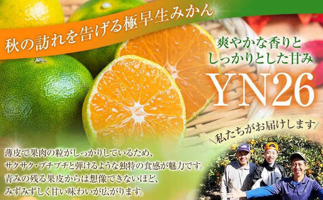 こだわりの極早生みかんYN26 5kg 3S～Mサイズいずれか AQ007