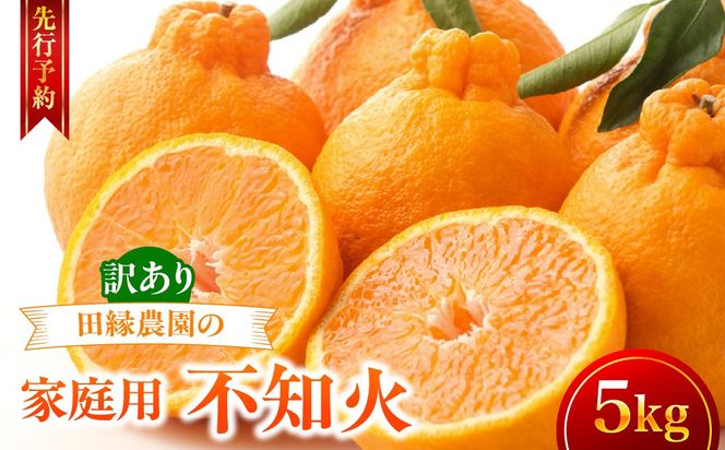 【先行予約】【家庭用】不知火 5kg ※離島への配送不可 （2027年2月10日より順次発送） IKTA035