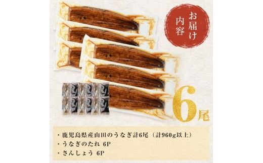 【無薬養鰻】 鹿児島産 山田のうなぎ ＜計960g以上＞ (160g以上×6尾) c2-014